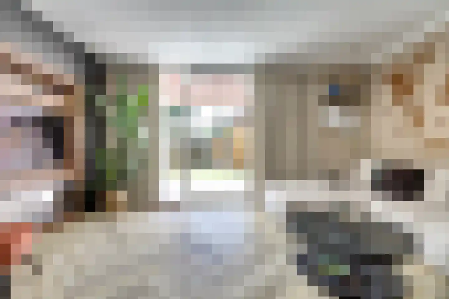 Fonteinkruid 60 Hendrik-Ido-Ambacht thumbnail 8