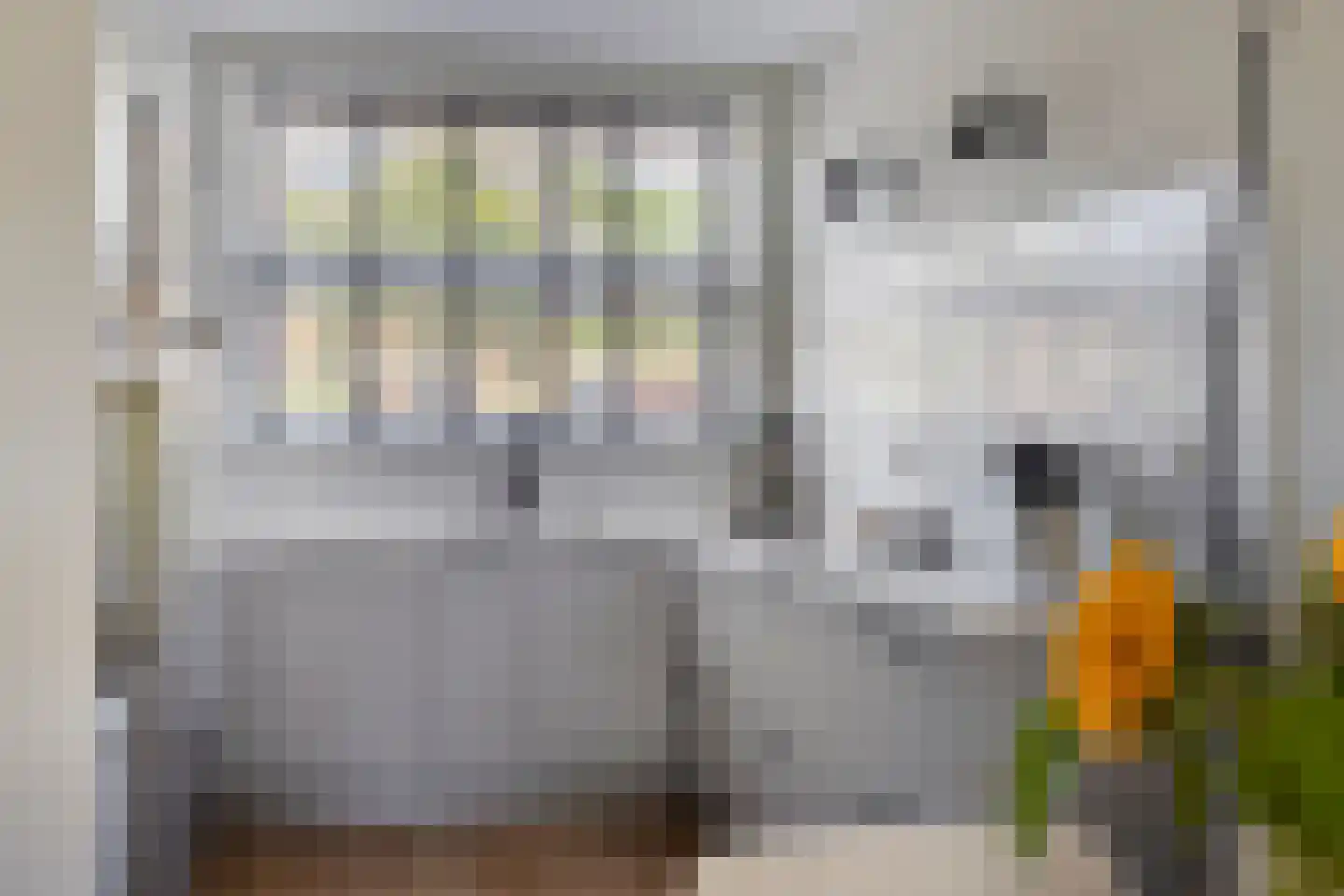 Fonteinkruid 62 Hendrik-Ido-Ambacht thumbnail 14
