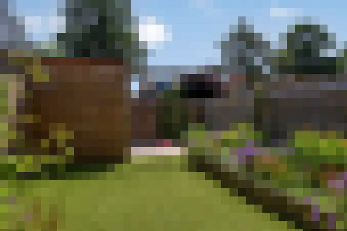 Fonteinkruid 62 Hendrik-Ido-Ambacht thumbnail 17