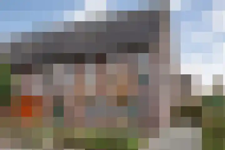 Fonteinkruid 7 in Meppel