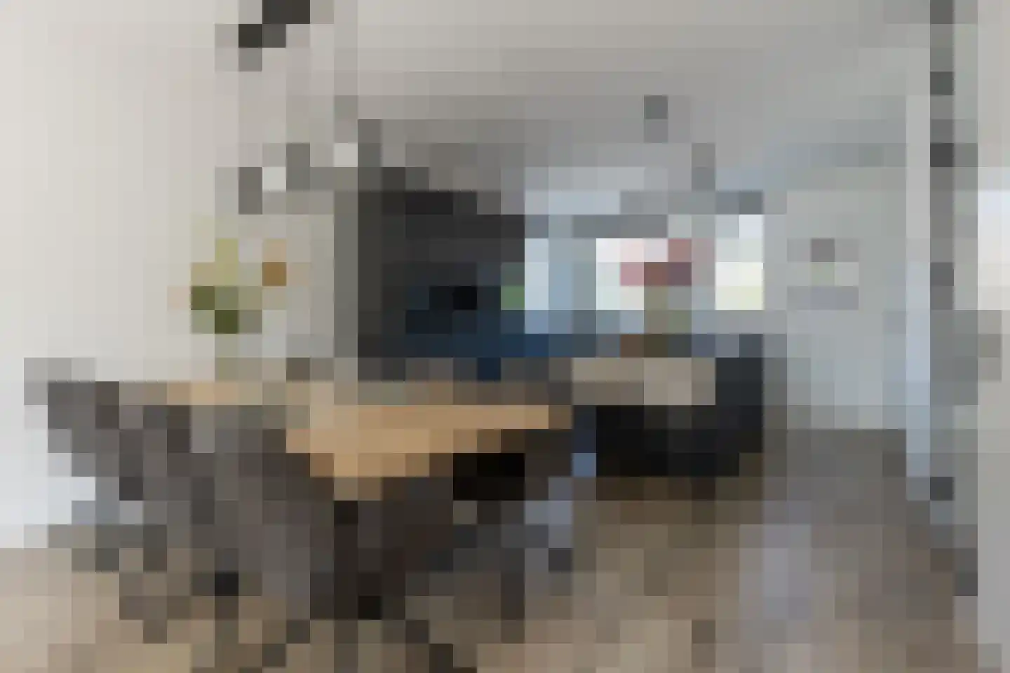 Fonteinkruid 7 Berlicum thumbnail 13