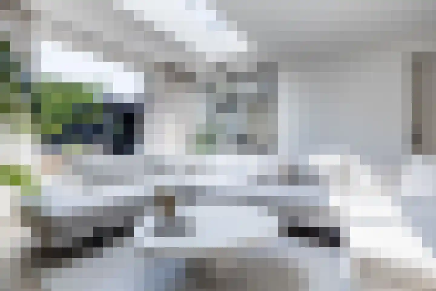 Fonteinkruid 7 Berlicum thumbnail 19
