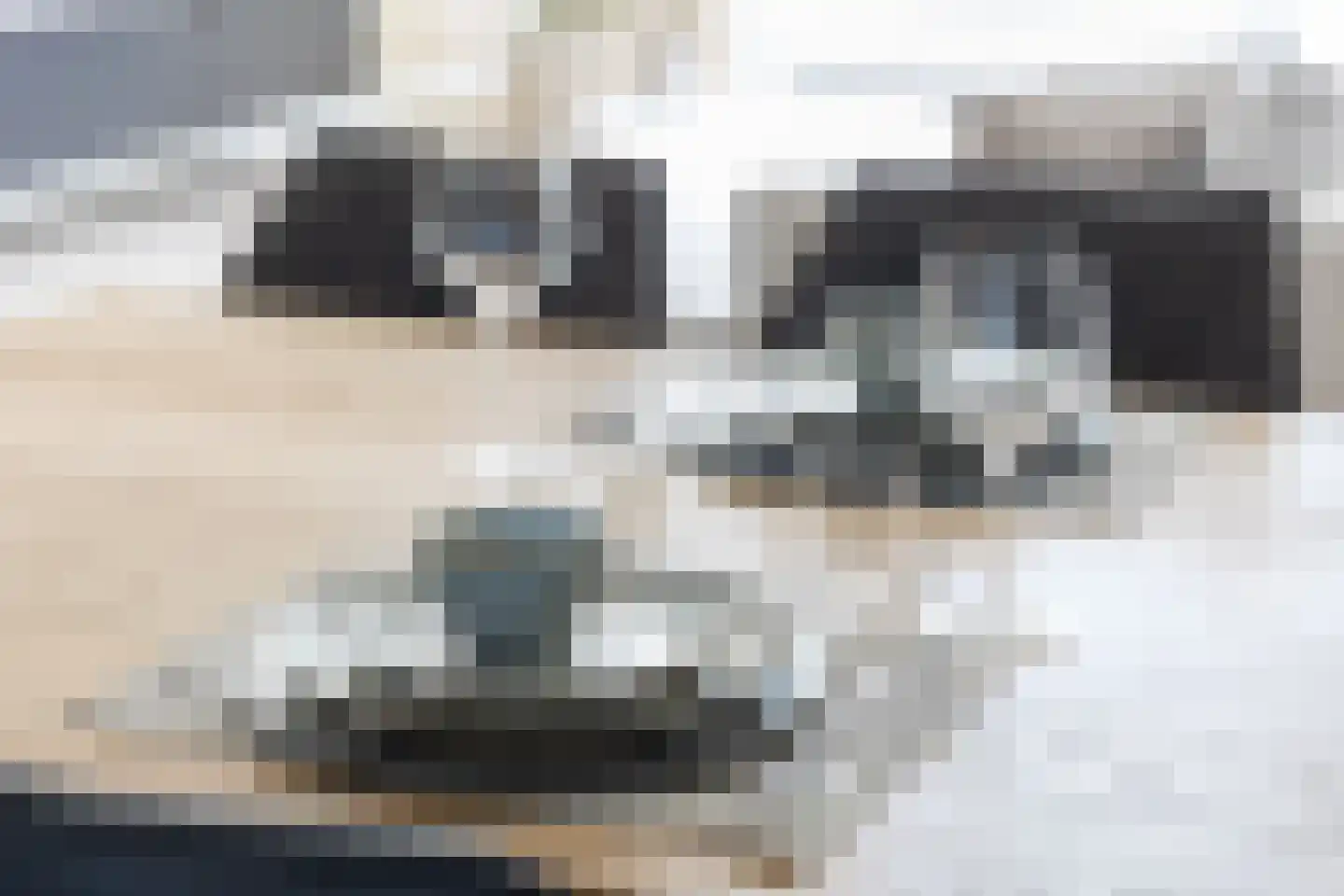 Fonteinkruid 7 Berlicum thumbnail 21