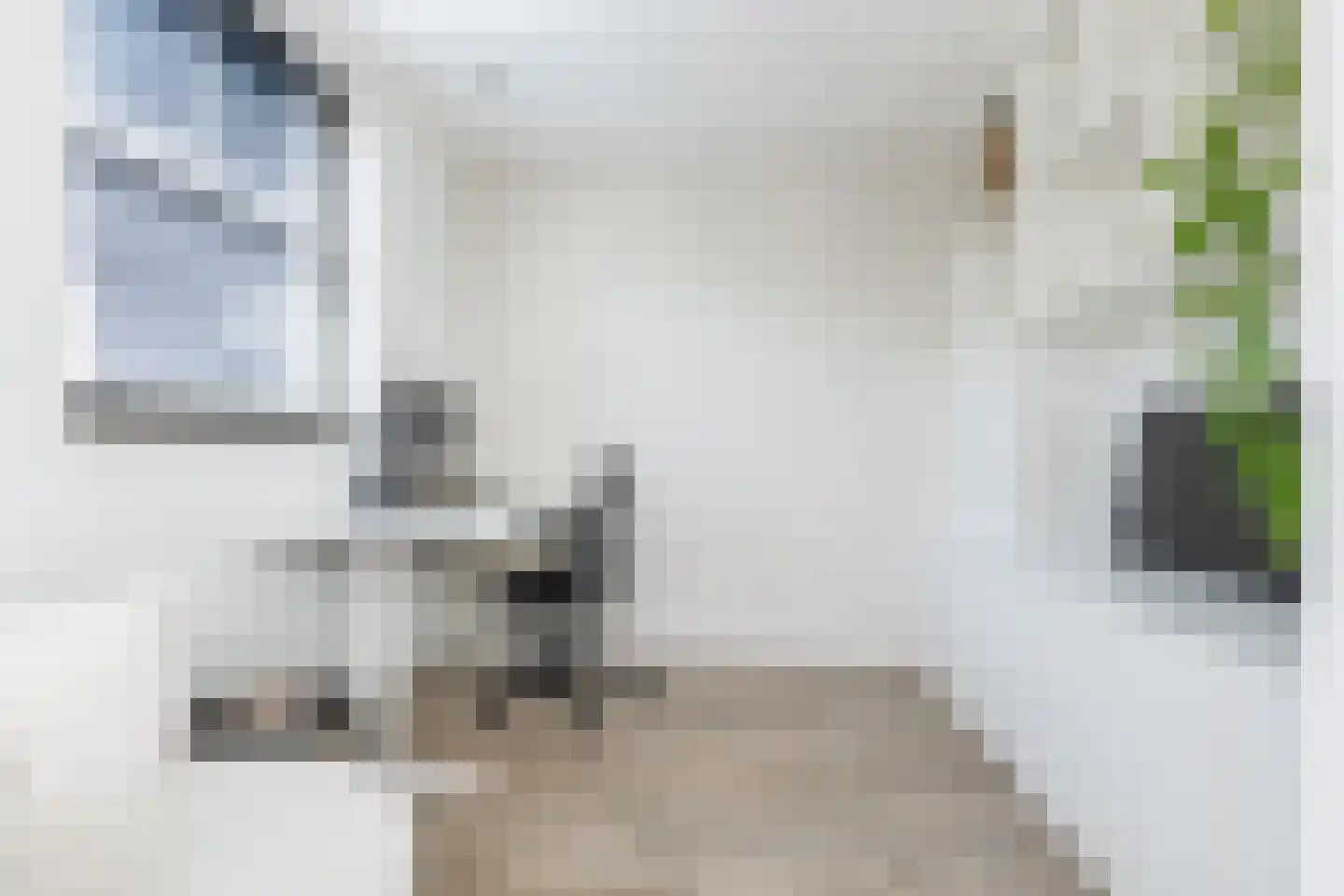 Fonteinkruid 7 Berlicum thumbnail 23
