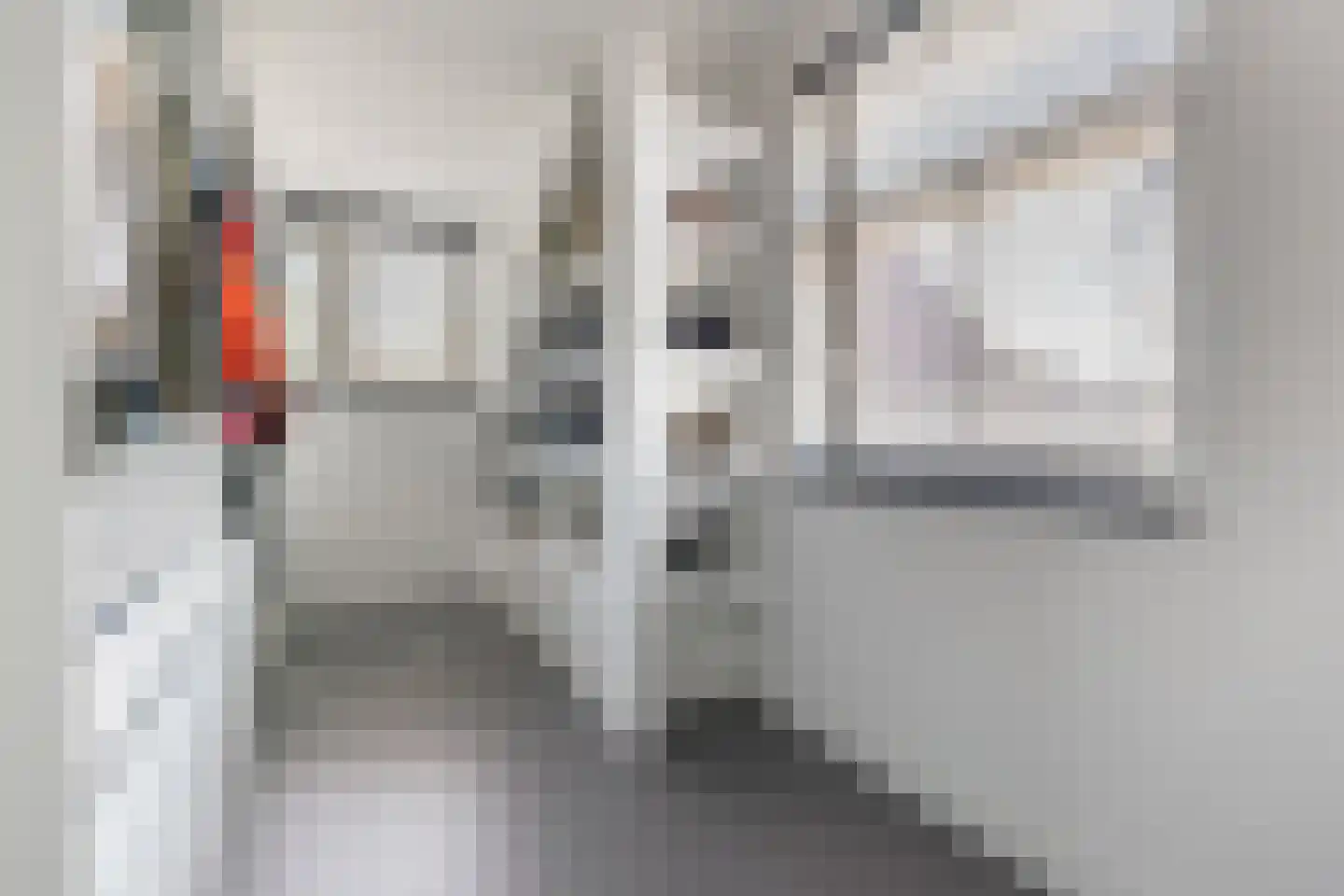 Fonteinkruid 7 Berlicum thumbnail 31