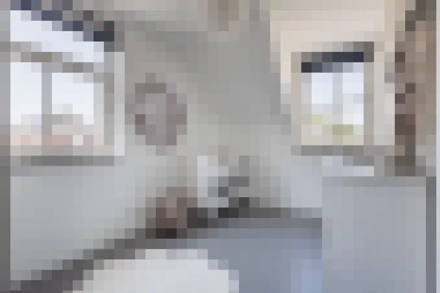 Fonteinkruid 7 Berlicum thumbnail 33