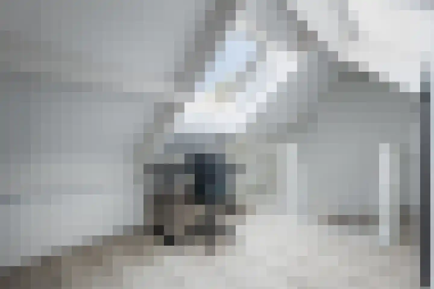 Fonteinkruid 7 Berlicum thumbnail 41