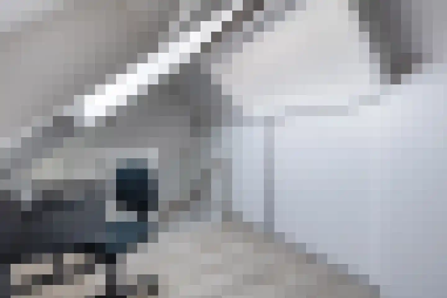 Fonteinkruid 7 Berlicum thumbnail 43