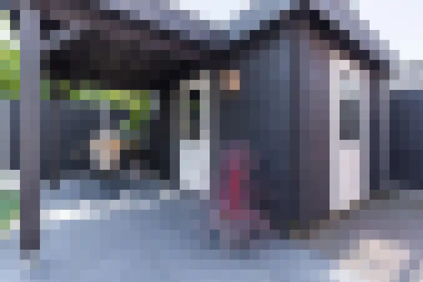 Fonteinkruid 7 Berlicum thumbnail 48