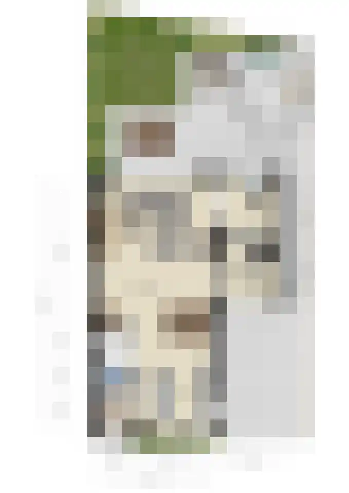 Fonteinkruid 7 Berlicum thumbnail 55