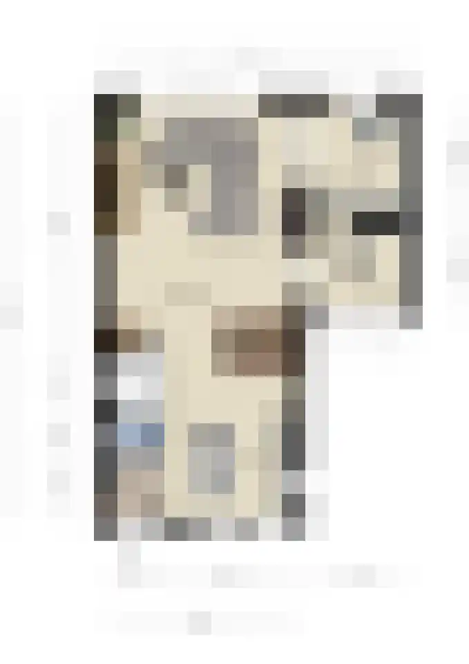 Fonteinkruid 7 Berlicum thumbnail 56