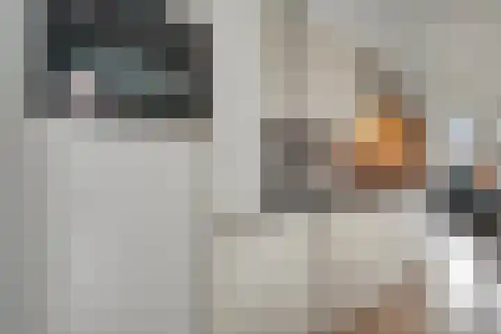 Fonteinkruid 7 Meppel thumbnail 10