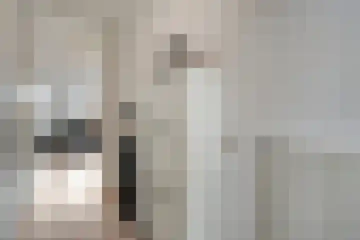 Fonteinkruid 7 Meppel thumbnail 11