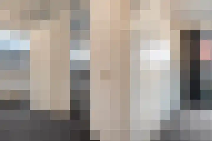 Fonteinkruid 7 Meppel thumbnail 14