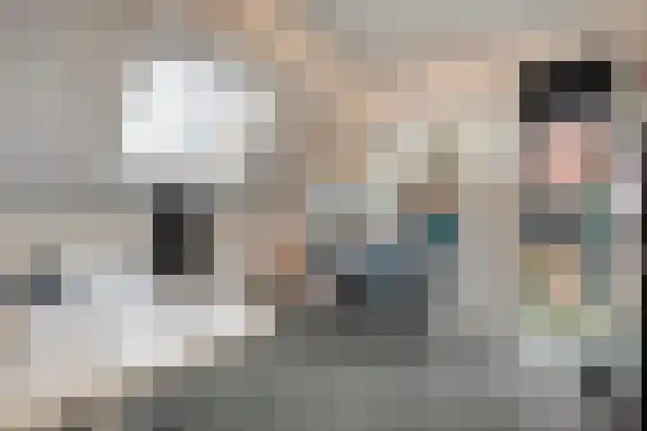 Fonteinkruid 7 Meppel thumbnail 17