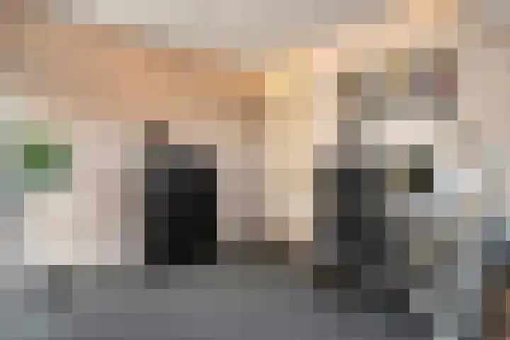 Fonteinkruid 7 Meppel thumbnail 18