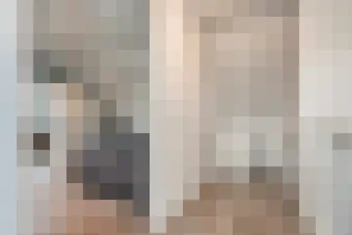 Fonteinkruid 7 Meppel thumbnail 24
