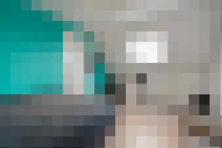 Fonteinkruid 7 Meppel thumbnail 26