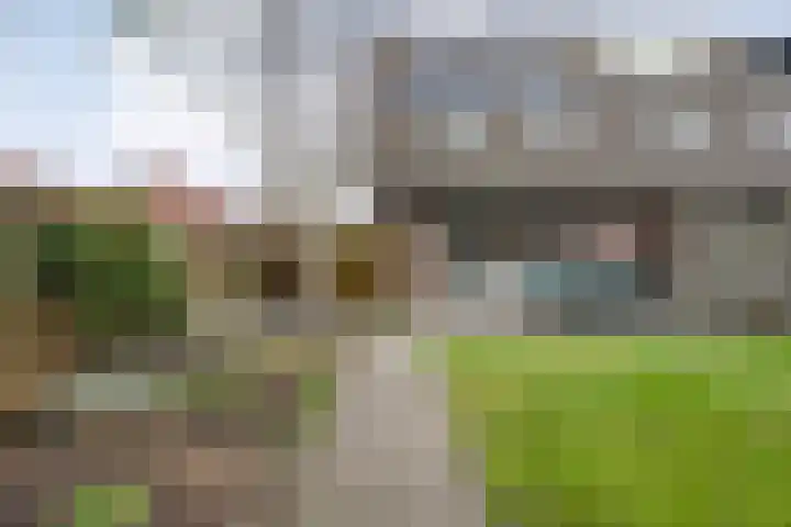 Fonteinkruid 7 Meppel thumbnail 27