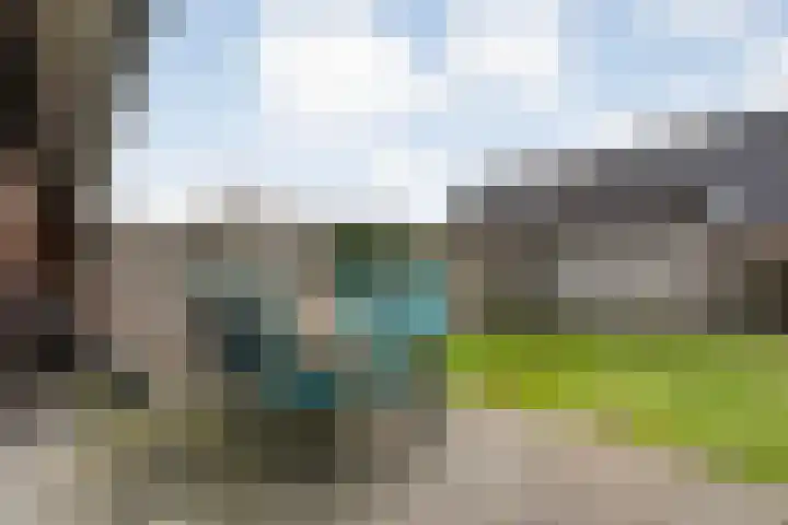 Fonteinkruid 7 Meppel thumbnail 28