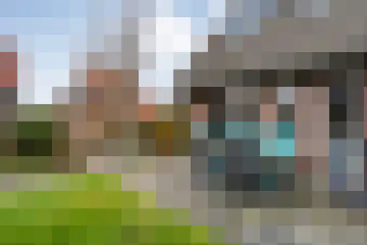 Fonteinkruid 7 Meppel thumbnail 29