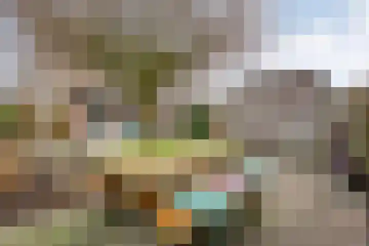 Fonteinkruid 7 Meppel thumbnail 30