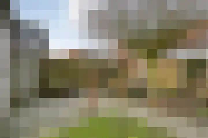 Fonteinkruid 7 Meppel thumbnail 31