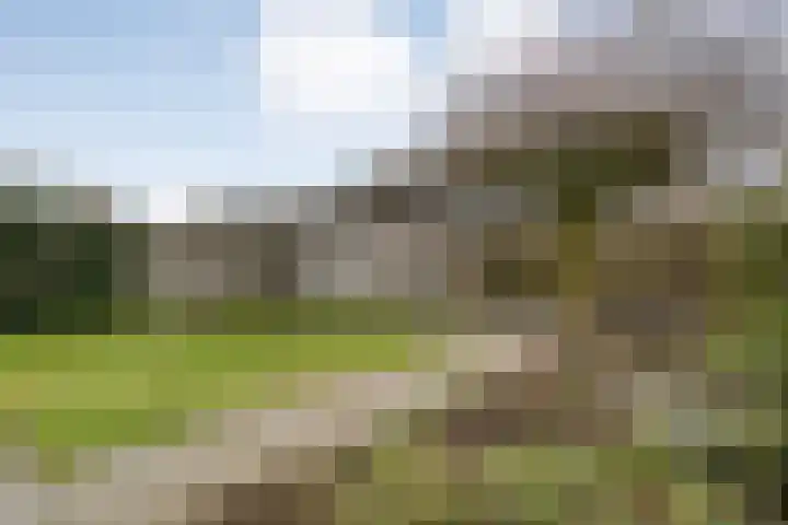 Fonteinkruid 7 Meppel thumbnail 32