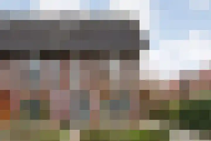 Fonteinkruid 7 Meppel thumbnail 35