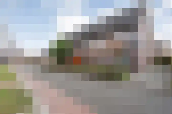 Fonteinkruid 7 Meppel thumbnail 36