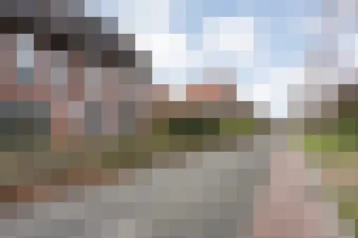 Fonteinkruid 7 Meppel thumbnail 37