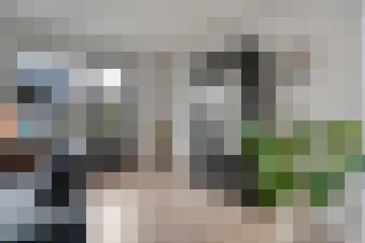 Fonteinkruid 7 Meppel thumbnail 5