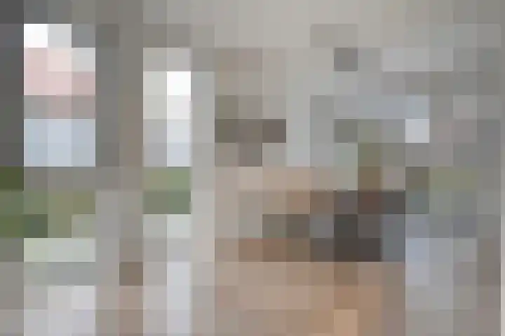 Fonteinkruid 7 Meppel thumbnail 7