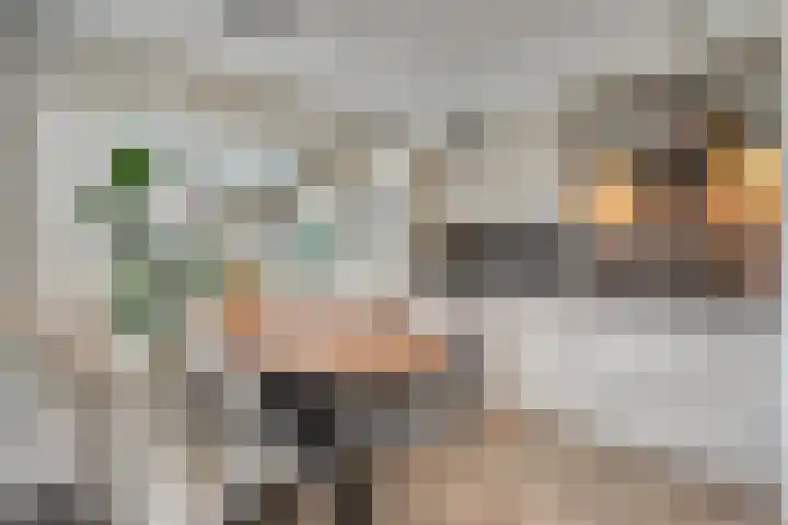 Fonteinkruid 7 Meppel thumbnail 8