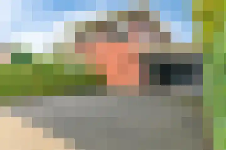 Fonteinkruid 73 Heerenveen thumbnail 10