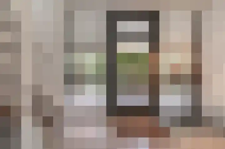Fonteinkruid 73 Heerenveen thumbnail 13