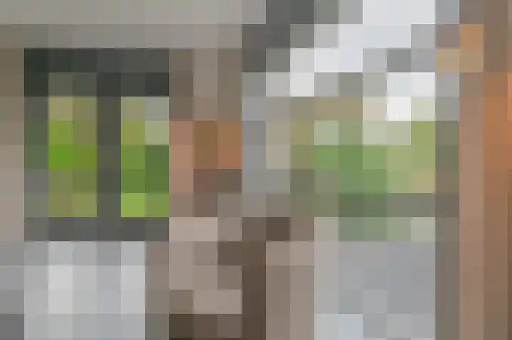 Fonteinkruid 73 Heerenveen thumbnail 21