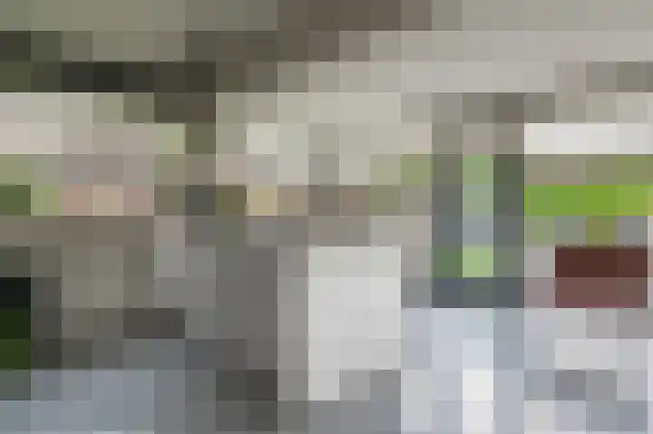 Fonteinkruid 73 Heerenveen thumbnail 25