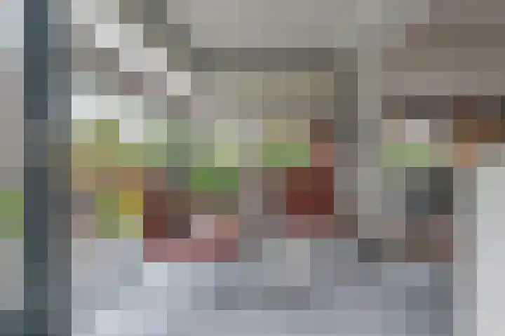 Fonteinkruid 73 Heerenveen thumbnail 30