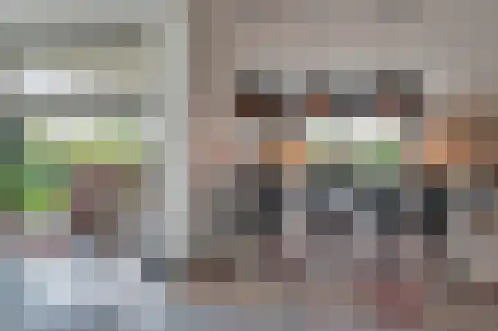 Fonteinkruid 73 Heerenveen thumbnail 31