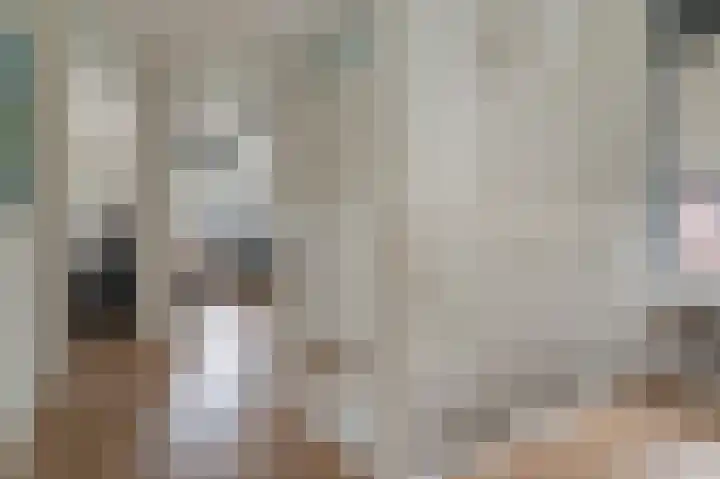 Fonteinkruid 73 Heerenveen thumbnail 35