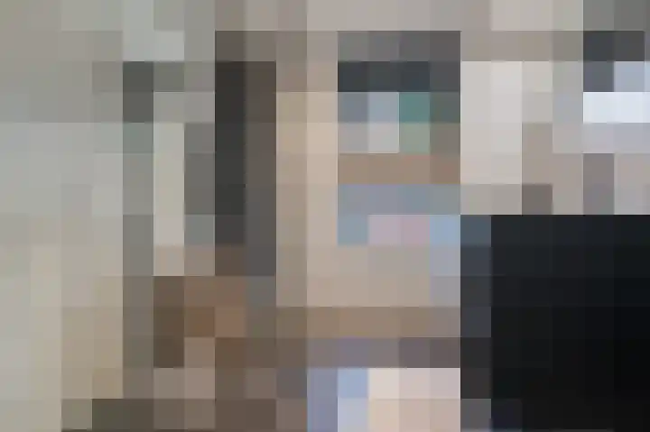 Fonteinkruid 73 Heerenveen thumbnail 4
