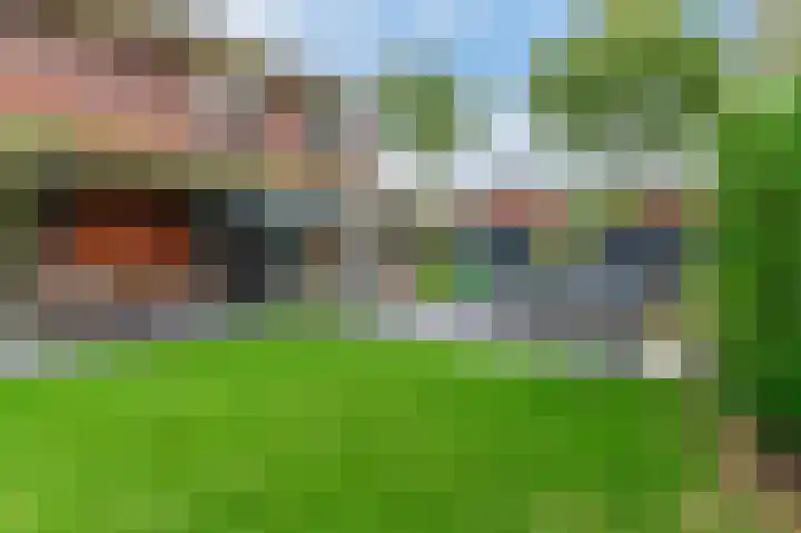 Fonteinkruid 73 Heerenveen thumbnail 48