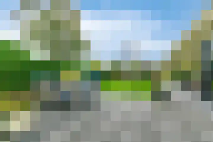 Fonteinkruid 73 Heerenveen thumbnail 49