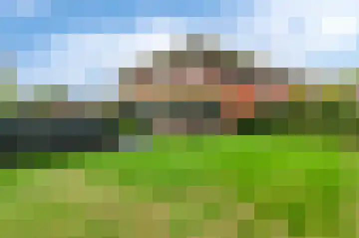 Fonteinkruid 73 Heerenveen thumbnail 5
