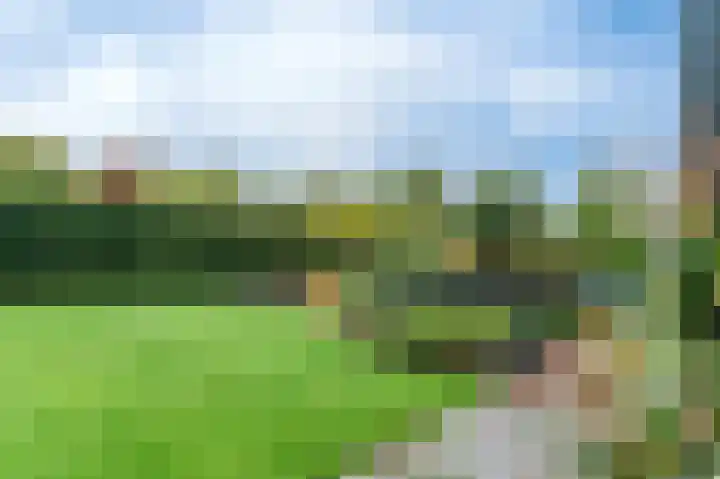 Fonteinkruid 73 Heerenveen thumbnail 50