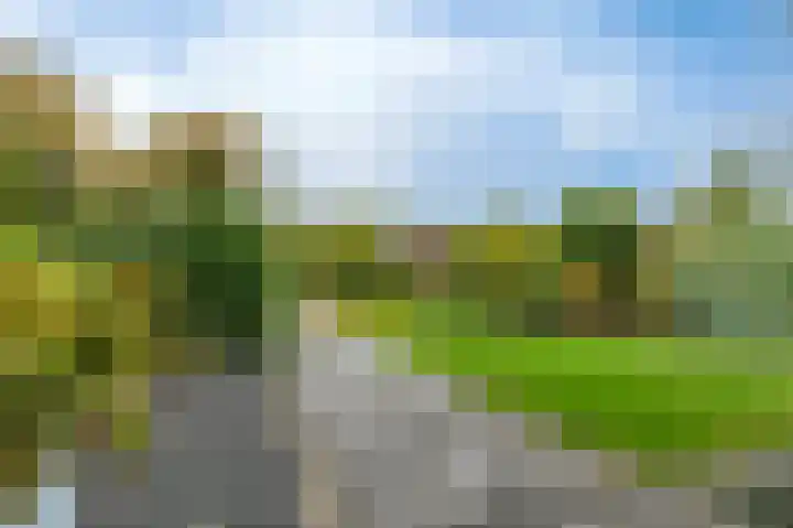 Fonteinkruid 73 Heerenveen thumbnail 51