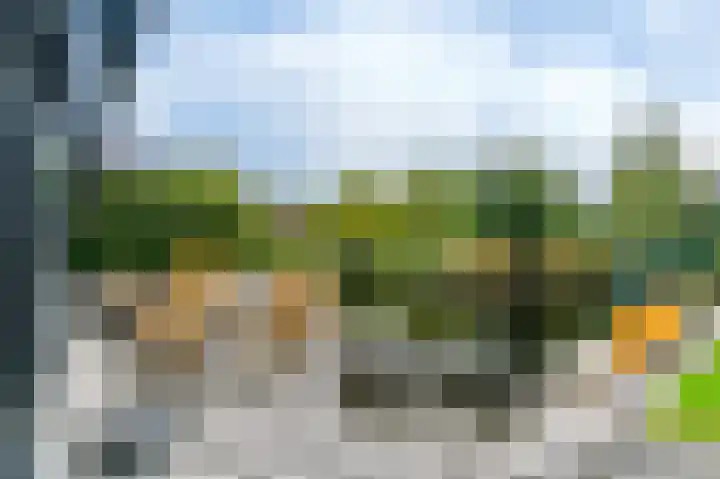 Fonteinkruid 73 Heerenveen thumbnail 52