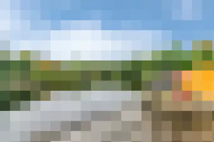 Fonteinkruid 73 Heerenveen thumbnail 54