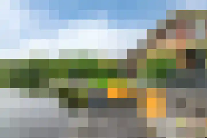 Fonteinkruid 73 Heerenveen thumbnail 55